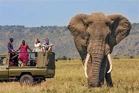 voyages Kenya authentiques découvertes safaris