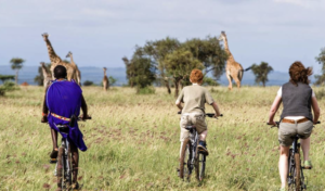 safaris en vélo quête d'aventure